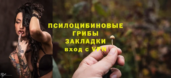 крисы Горно-Алтайск