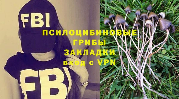 крисы Горно-Алтайск